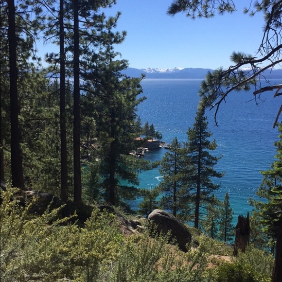 Meet your Posher, Lexie - Picture 1 of 1